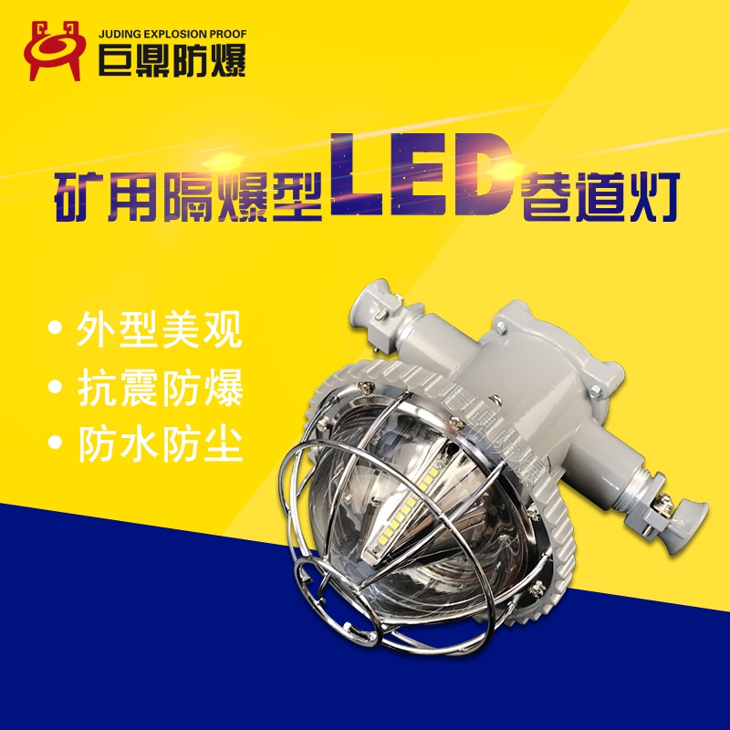 DGS10/127L(A)VøLED 10WúV÷ úCRȫ