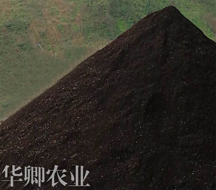 ϴ̷NֲS