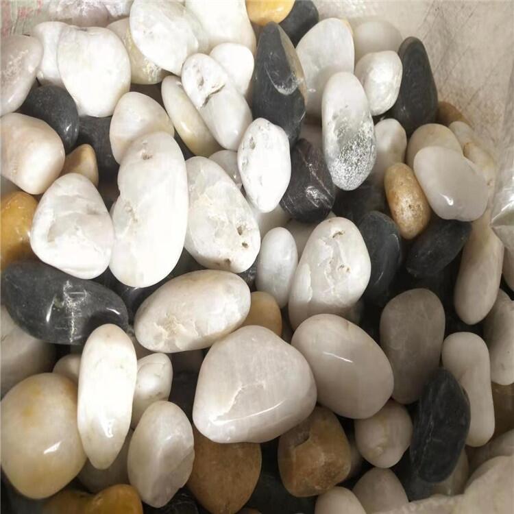 sïɫZʯ 50-1״ȻZʯ̼