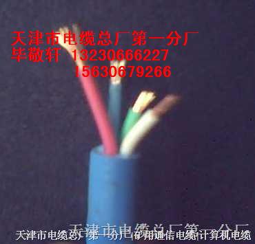 ̖|PTYA23