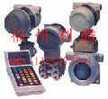 HoneywellfȼyHUPF100B310
