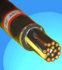 MHYA22 VͨӍ|