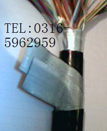 zbͨ|HYA53 50*2*0.4zbͨ|