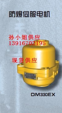 F؛elektrogasR˹DM330EXŷ늙C
