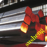 WS30815P䓰