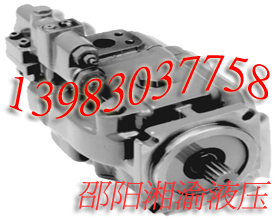 PVH131R13AF30A250000002001D