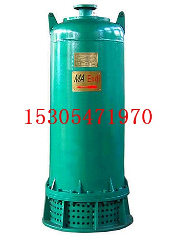 ˹hú}ɳBQS100-300-185ǧߝˮ