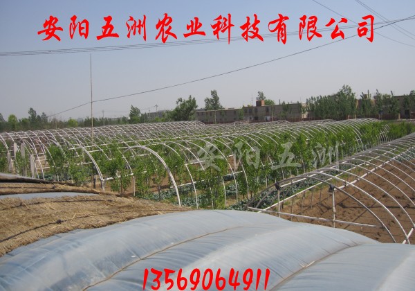 |܌ôǼܙC 䓹a