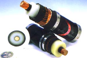 HS113NiⒻѺzߜĥzHS113NiⒻz/̖r