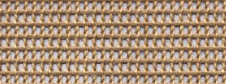 PTFEWݔ͎